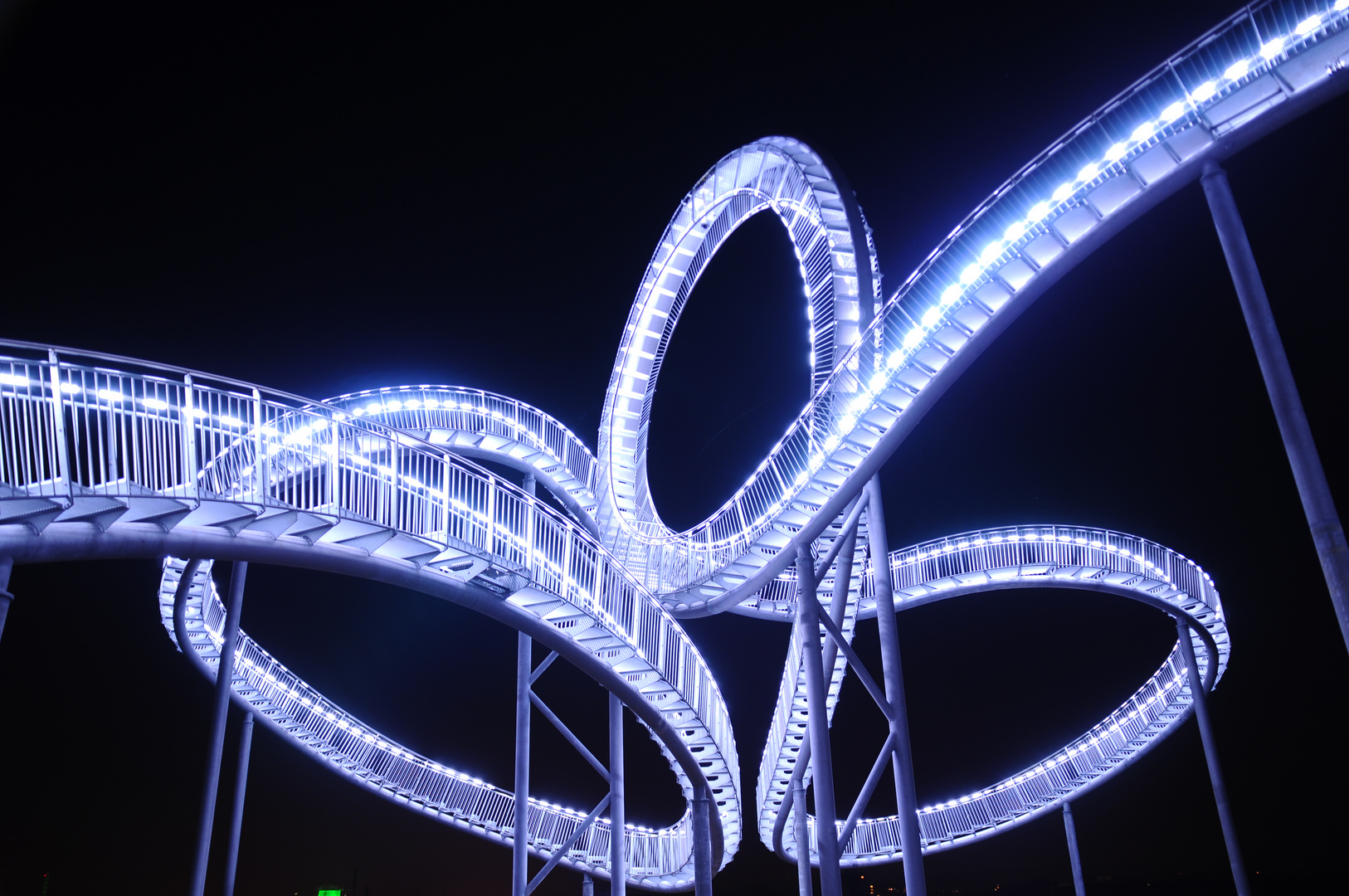 Tiger & Turtle