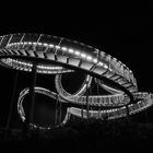 Tiger & Turtle 