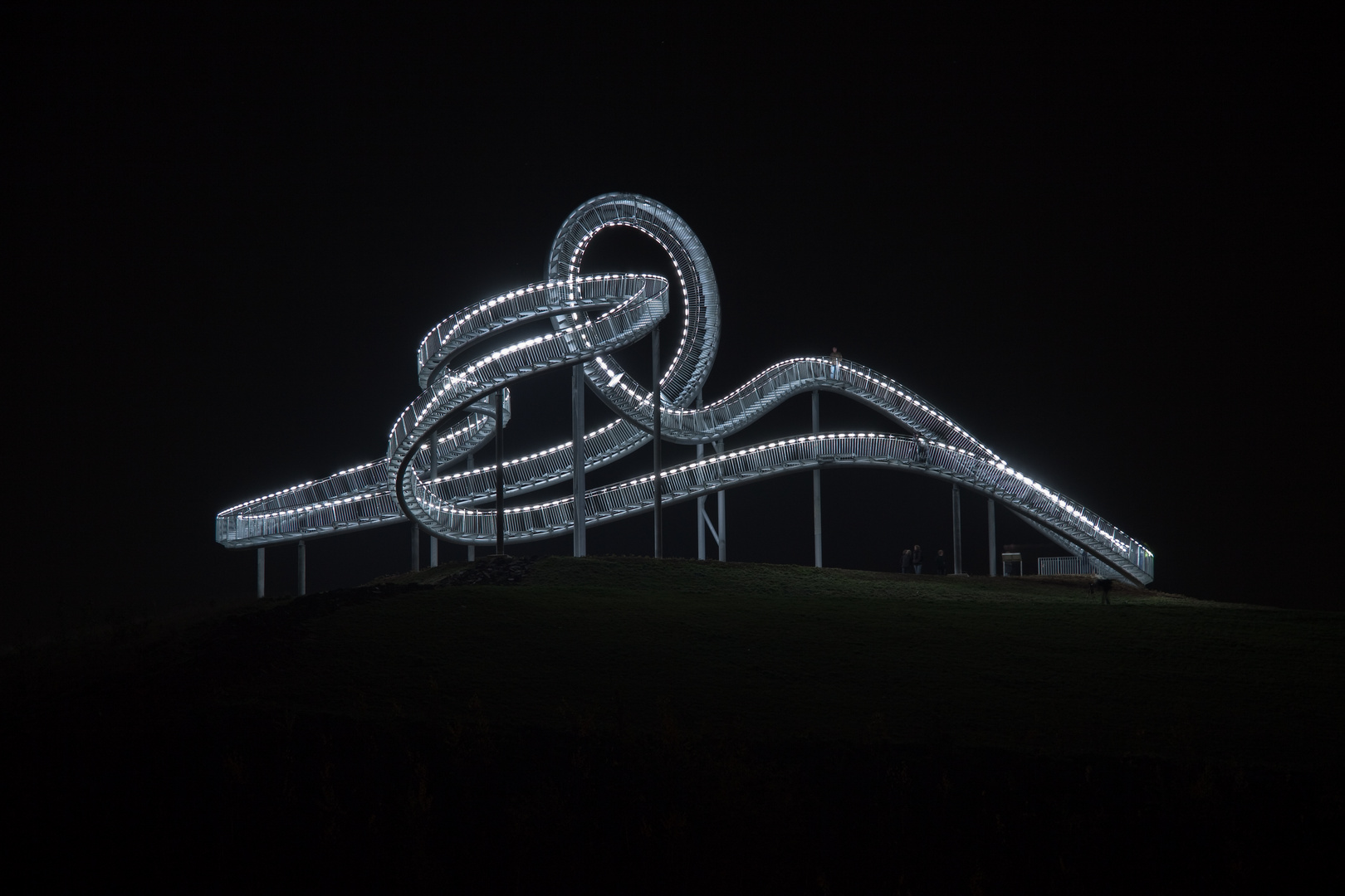 Tiger & Turtle bei Nacht