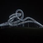 Tiger & Turtle bei Nacht