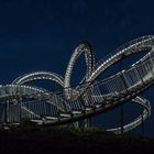 Tiger & Turtle bei nacht