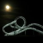 Tiger & Turtle bei Vollmond