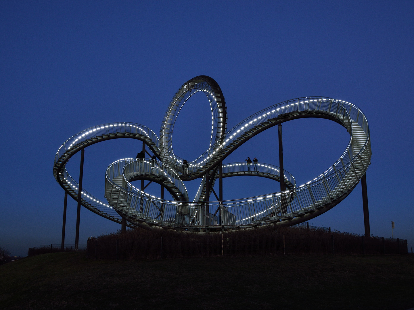 Tiger & Turtle