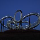 Tiger & Turtle