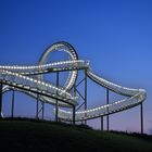 Tiger & Turtle @ blaue Stunde