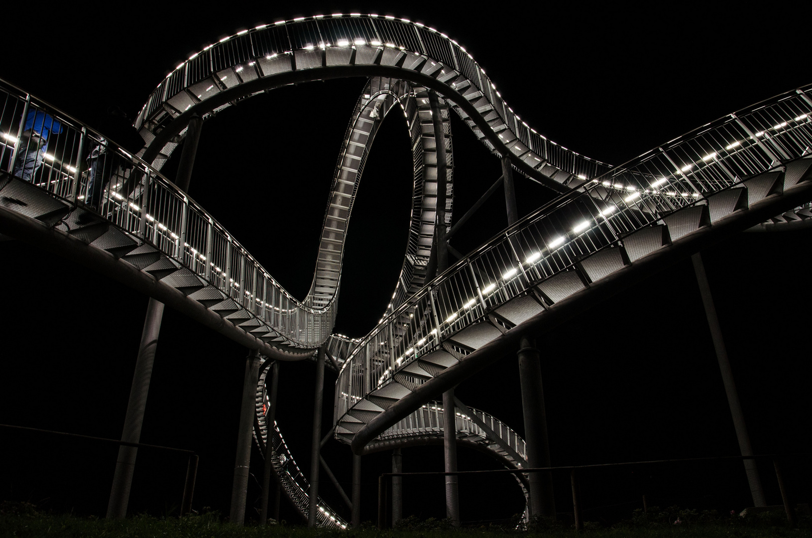 Tiger & Turtle by Night