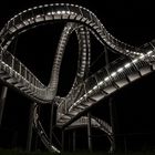 Tiger & Turtle by Night