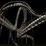 Tiger & Turtle by Night
