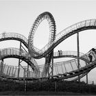 Tiger & Turtle