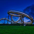 Tiger & Turtle