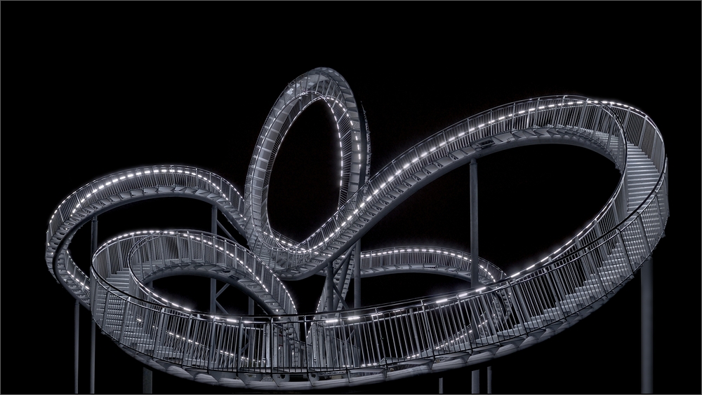 Tiger & Turtle ...