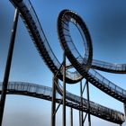 Tiger & Turtle