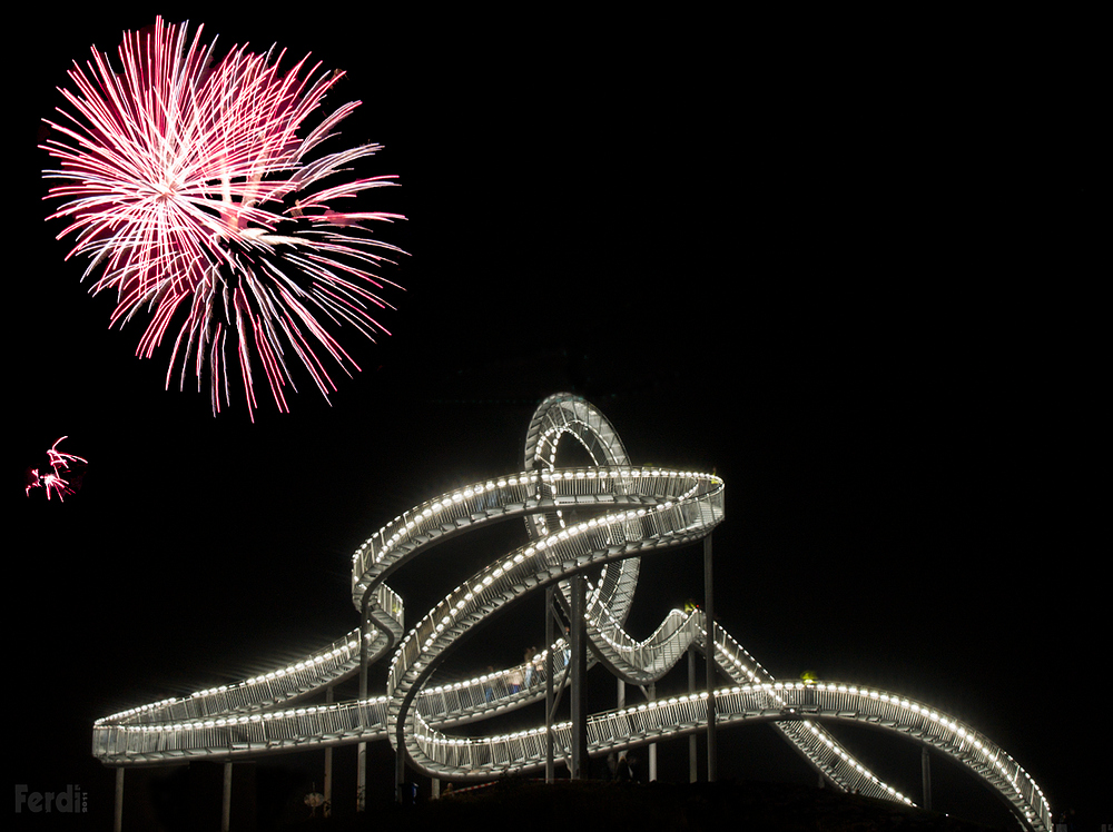 Tiger & Turtle*