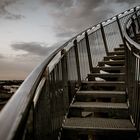 Tiger & Turtle