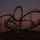 Tiger &Turtle