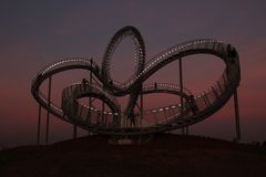 Tiger &Turtle