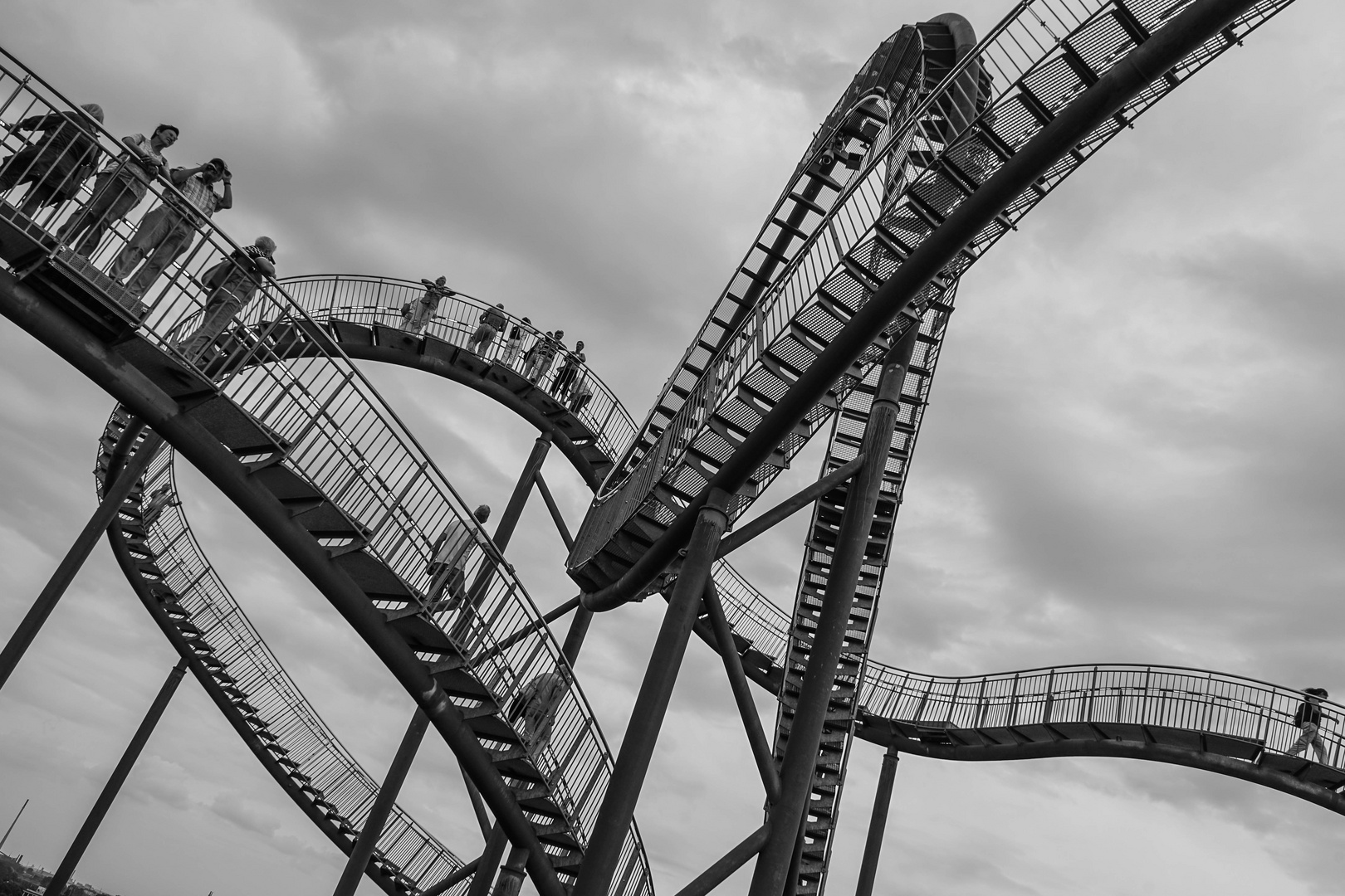 " Tiger & Turtle "