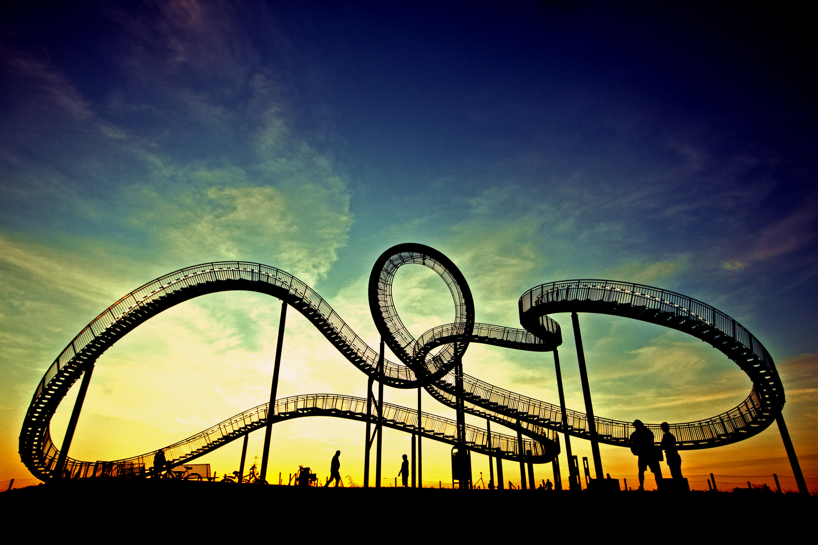 Tiger & Turtle