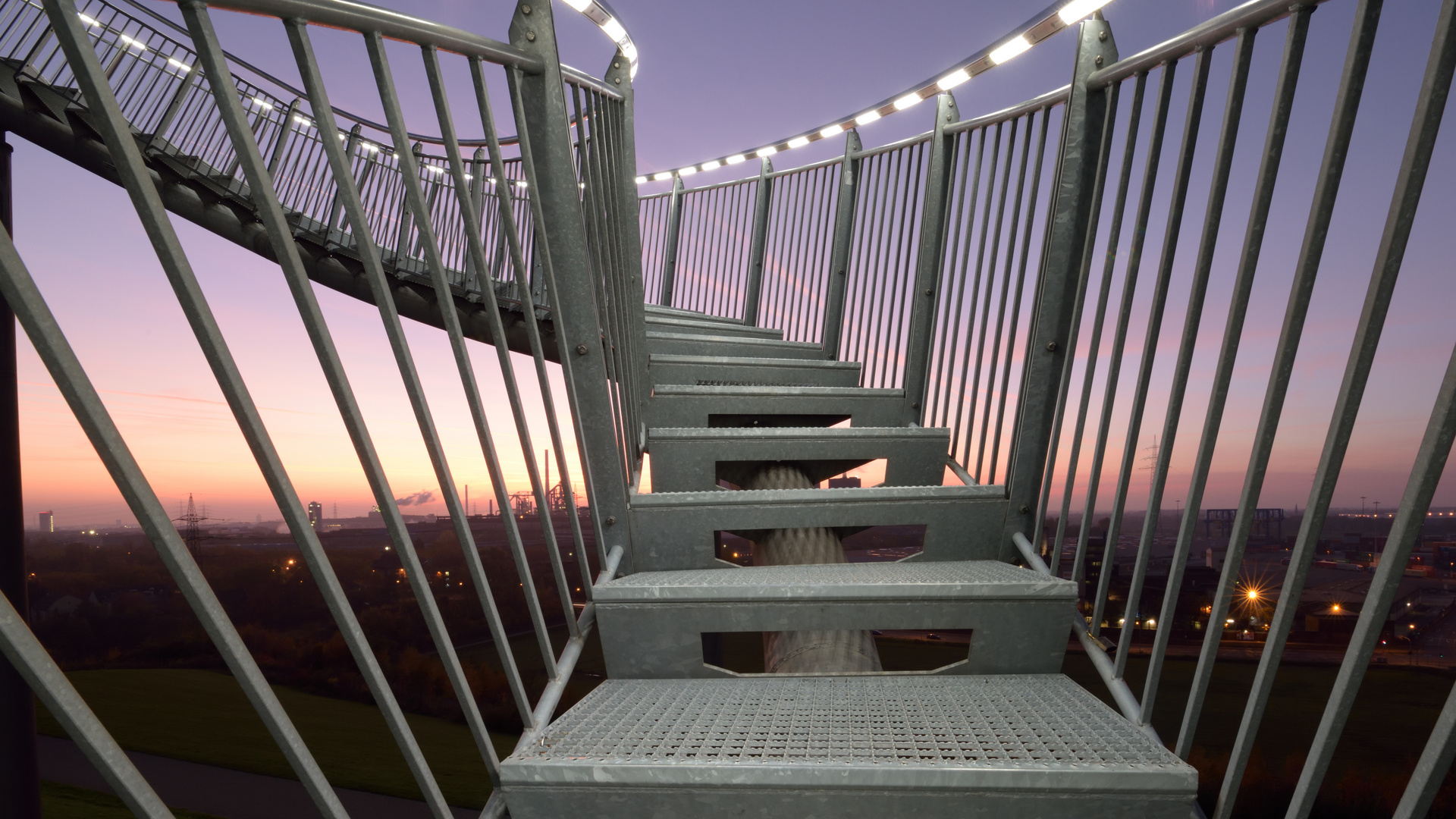 Tiger & Turtle