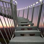 Tiger & Turtle