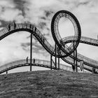 Tiger & Turtle