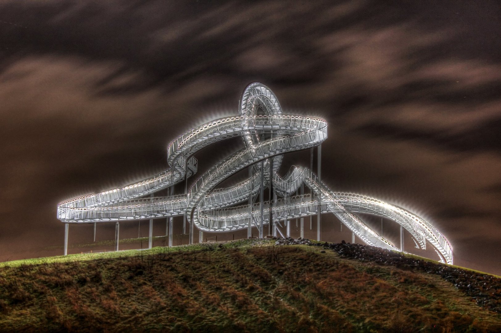 Tiger & Turtle