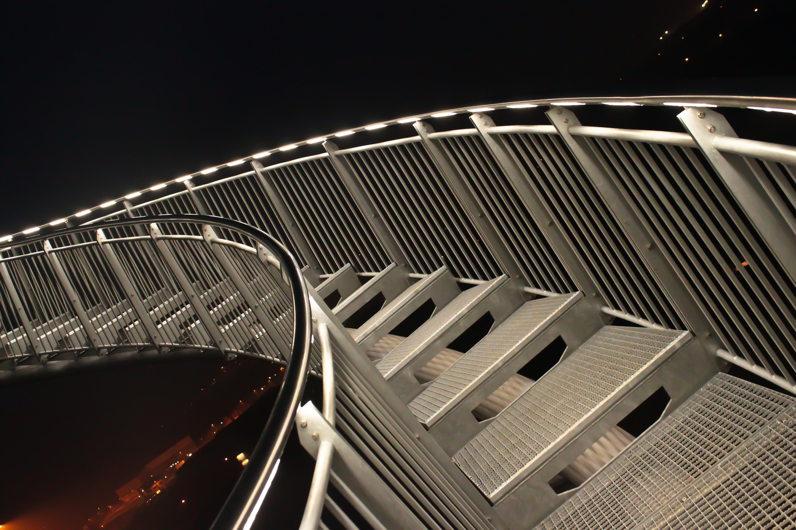 Tiger & Turtle