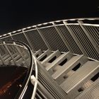 Tiger & Turtle