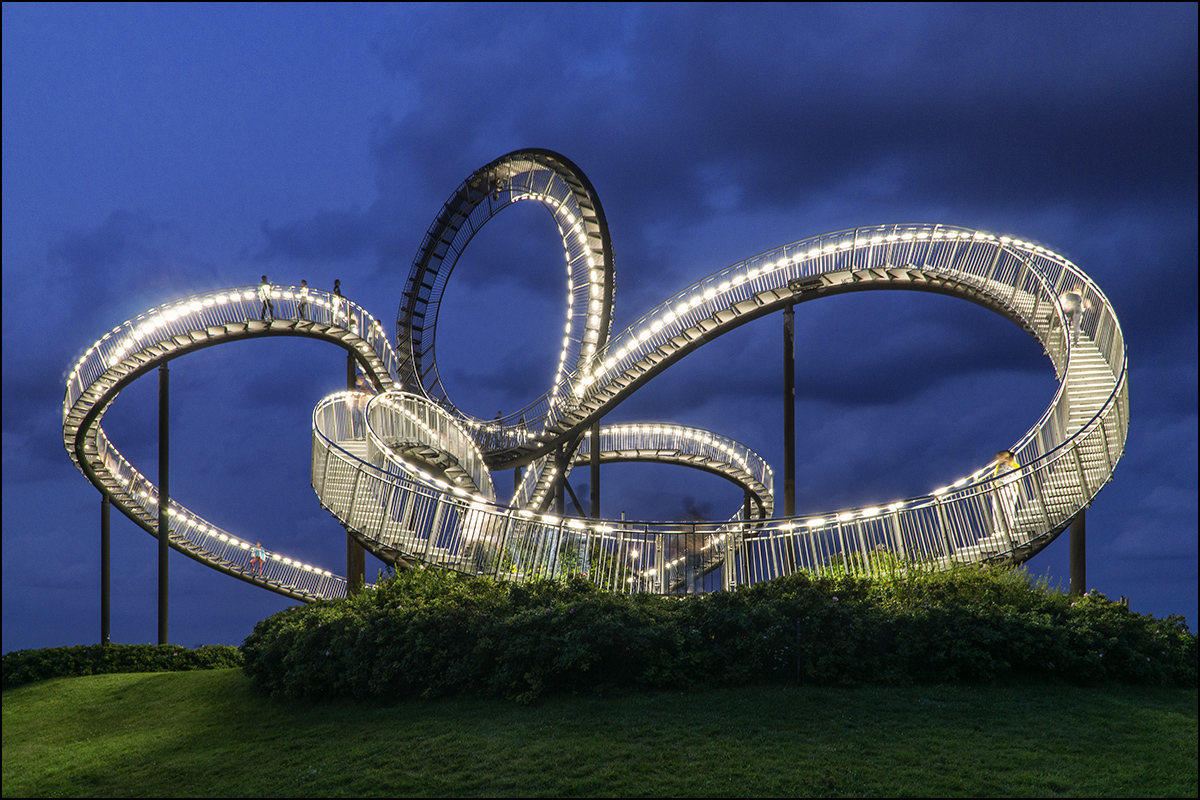 Tiger & Turtle