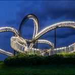 Tiger & Turtle