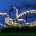 Tiger & Turtle