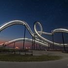 Tiger & Turtle