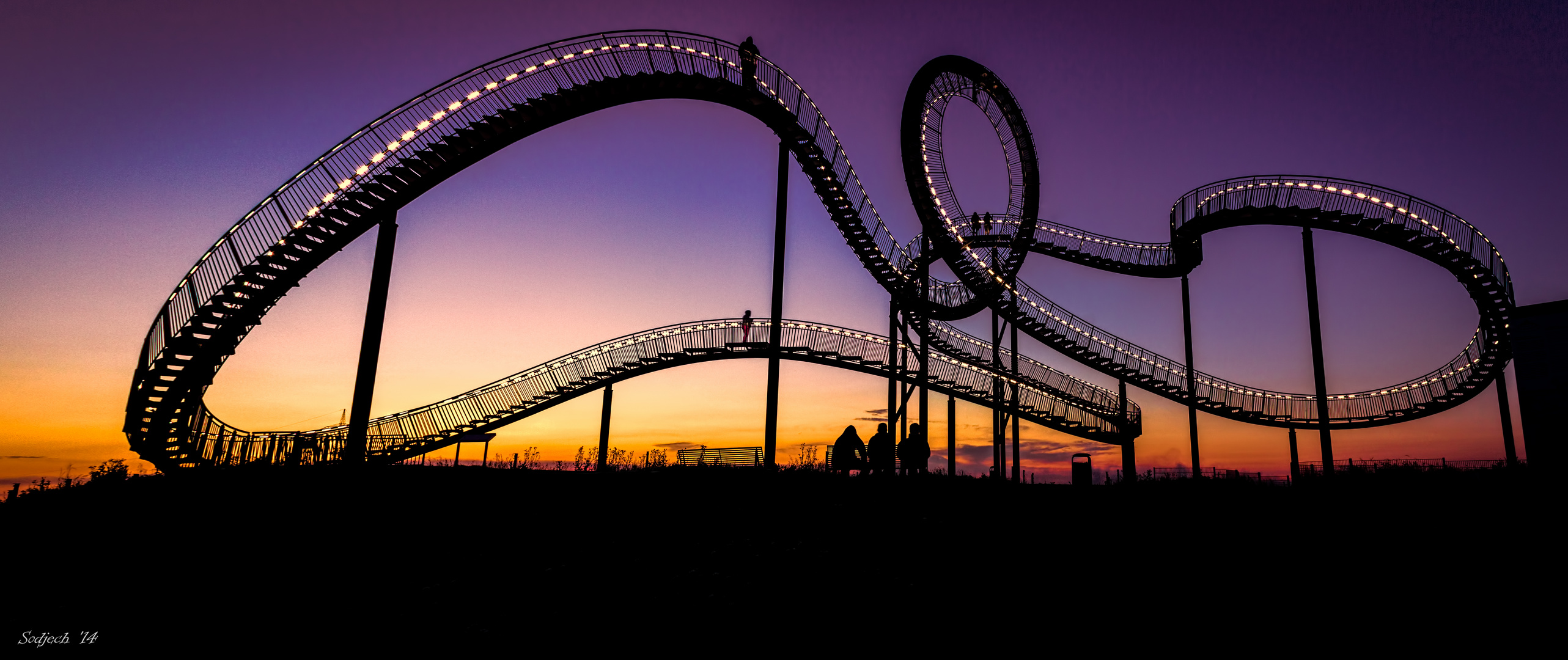 Tiger & Turtle