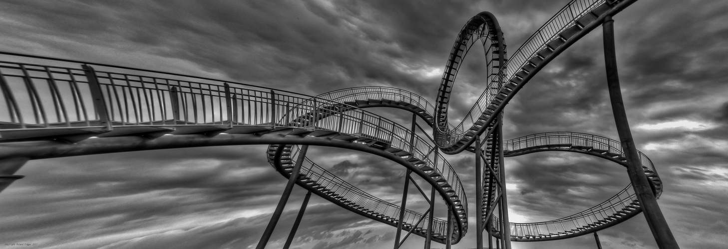 Tiger & Turtle