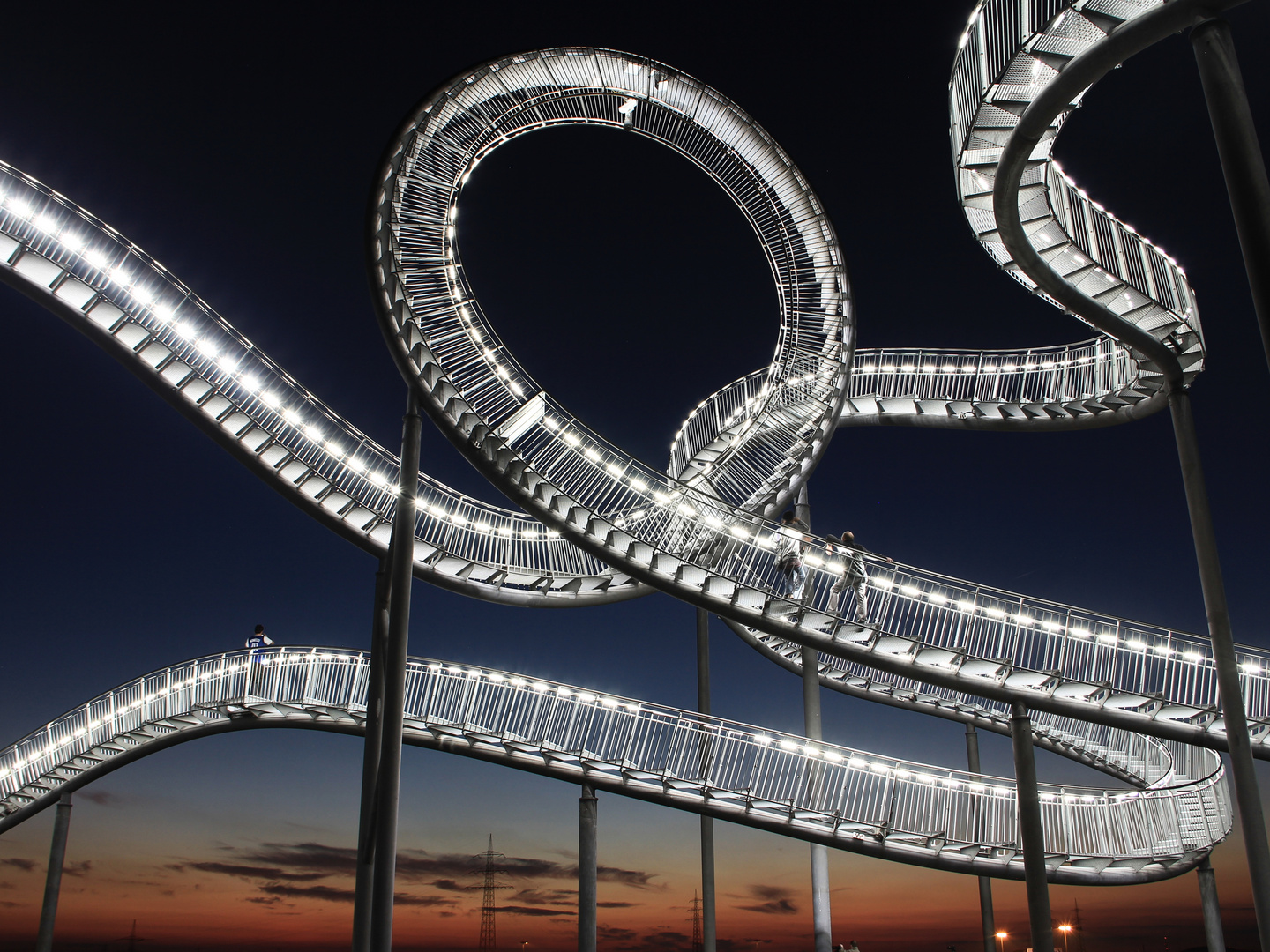 Tiger & Turtle