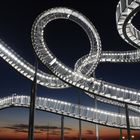 Tiger & Turtle