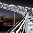 Tiger & Turtle