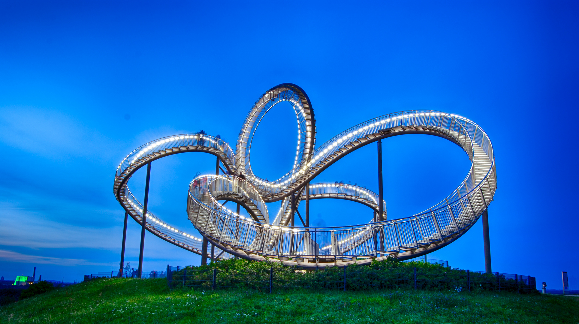 Tiger & Turtle