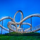 Tiger & Turtle