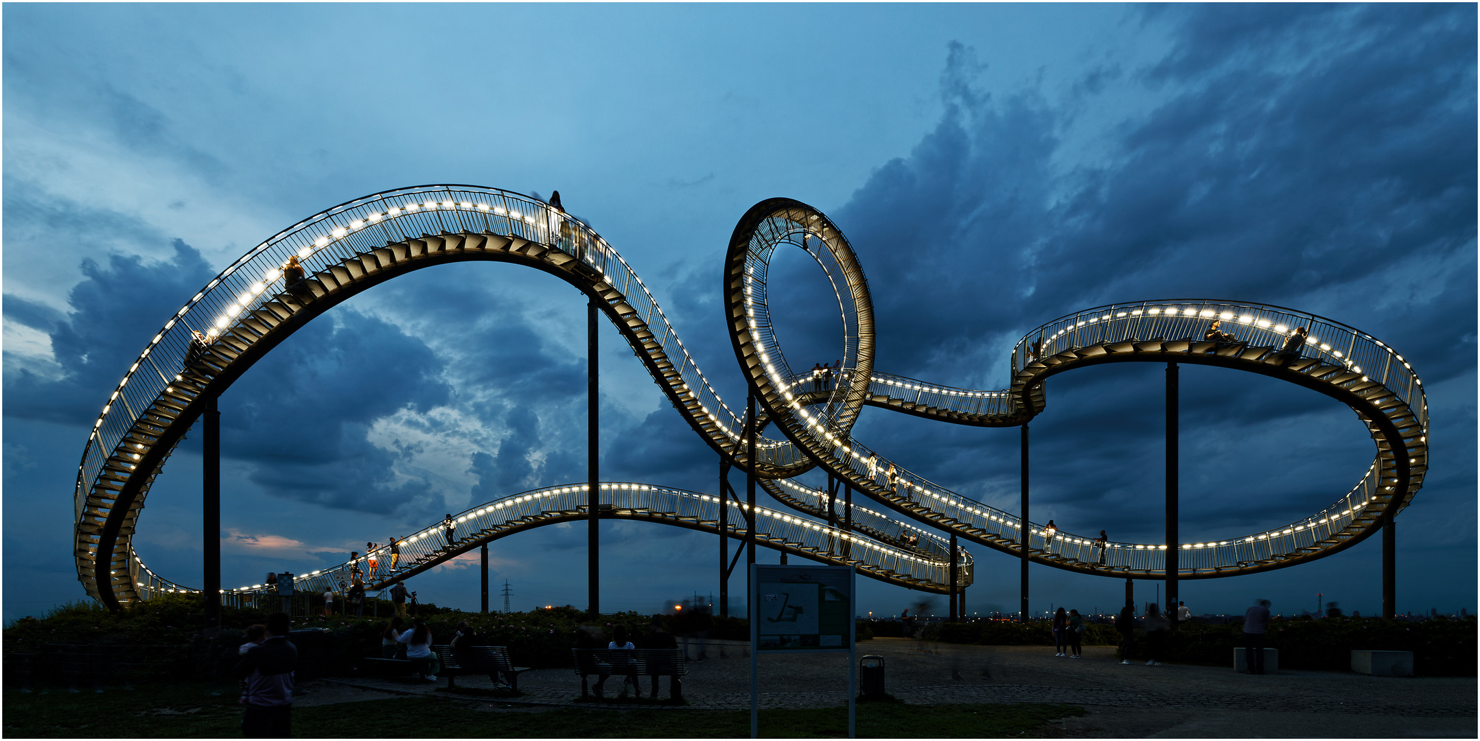 Tiger & Turtle