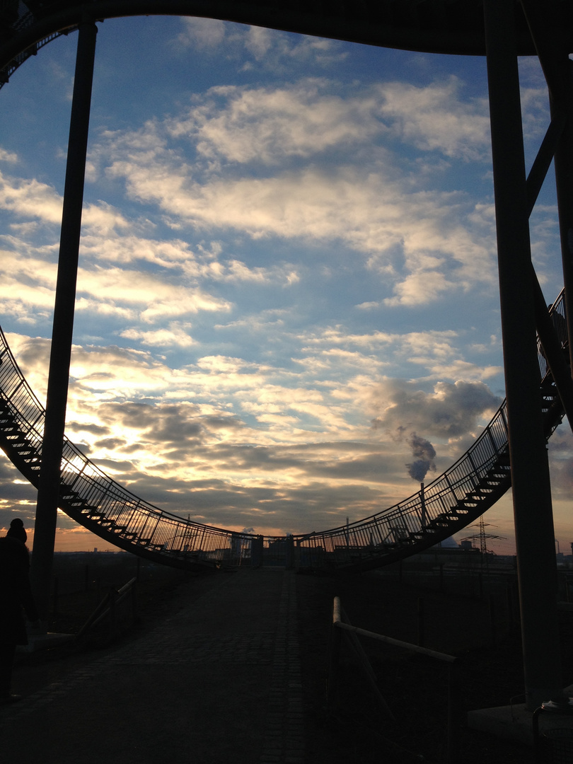 Tiger & Turtle