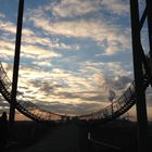 Tiger & Turtle