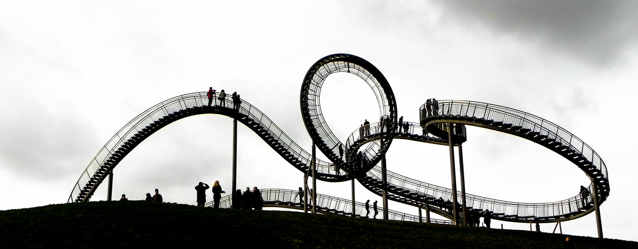 Tiger & Turtle