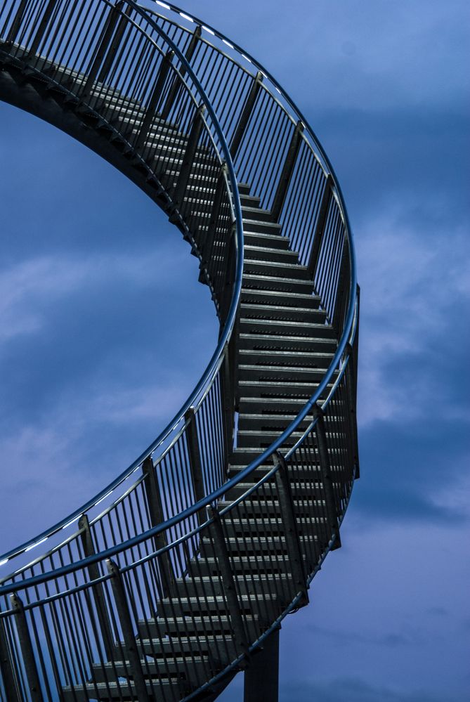 Tiger & Turtle Detail