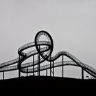 Tiger & Turtle