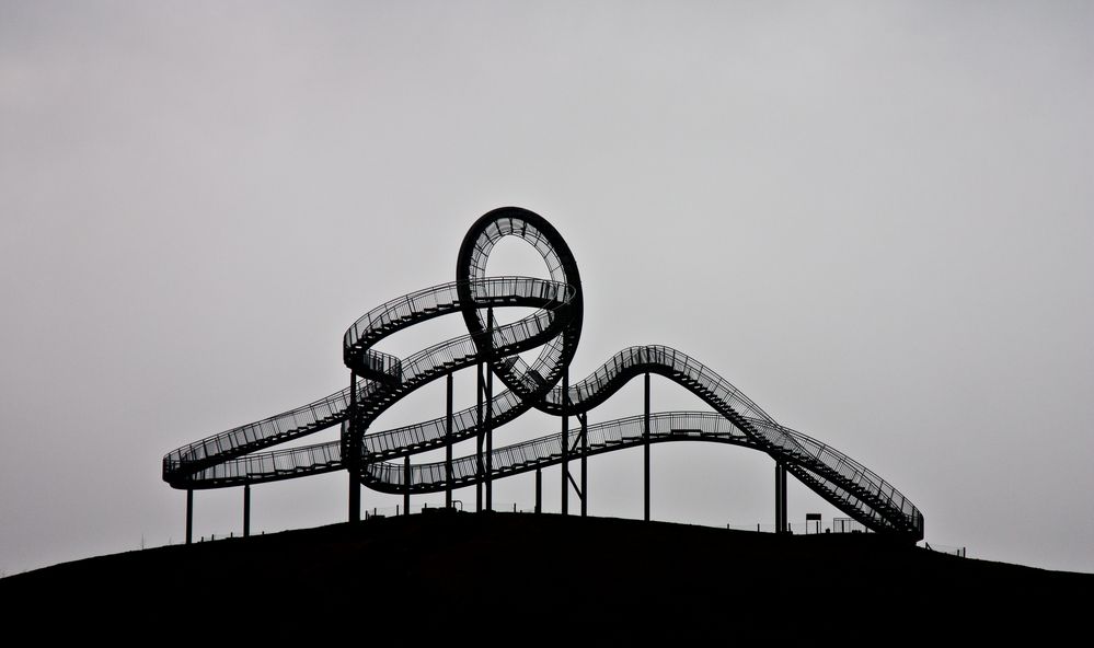 Tiger & Turtle