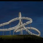 Tiger & Turtle die xte....