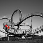 Tiger & Turtle Duisburg