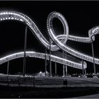 Tiger & Turtle Duisburg