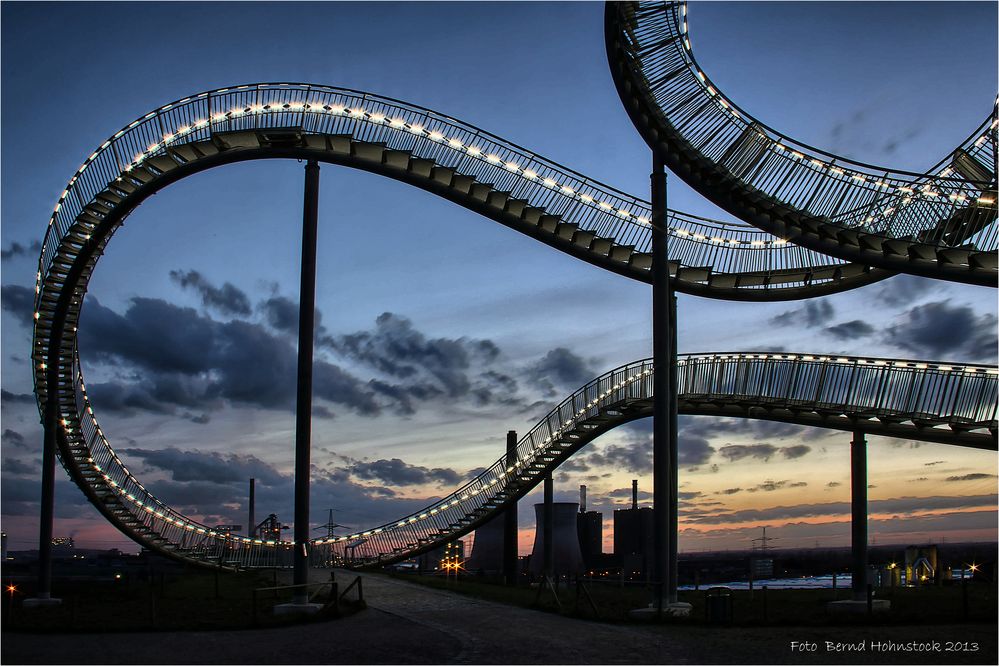 Tiger - Turtle .... Duisburg